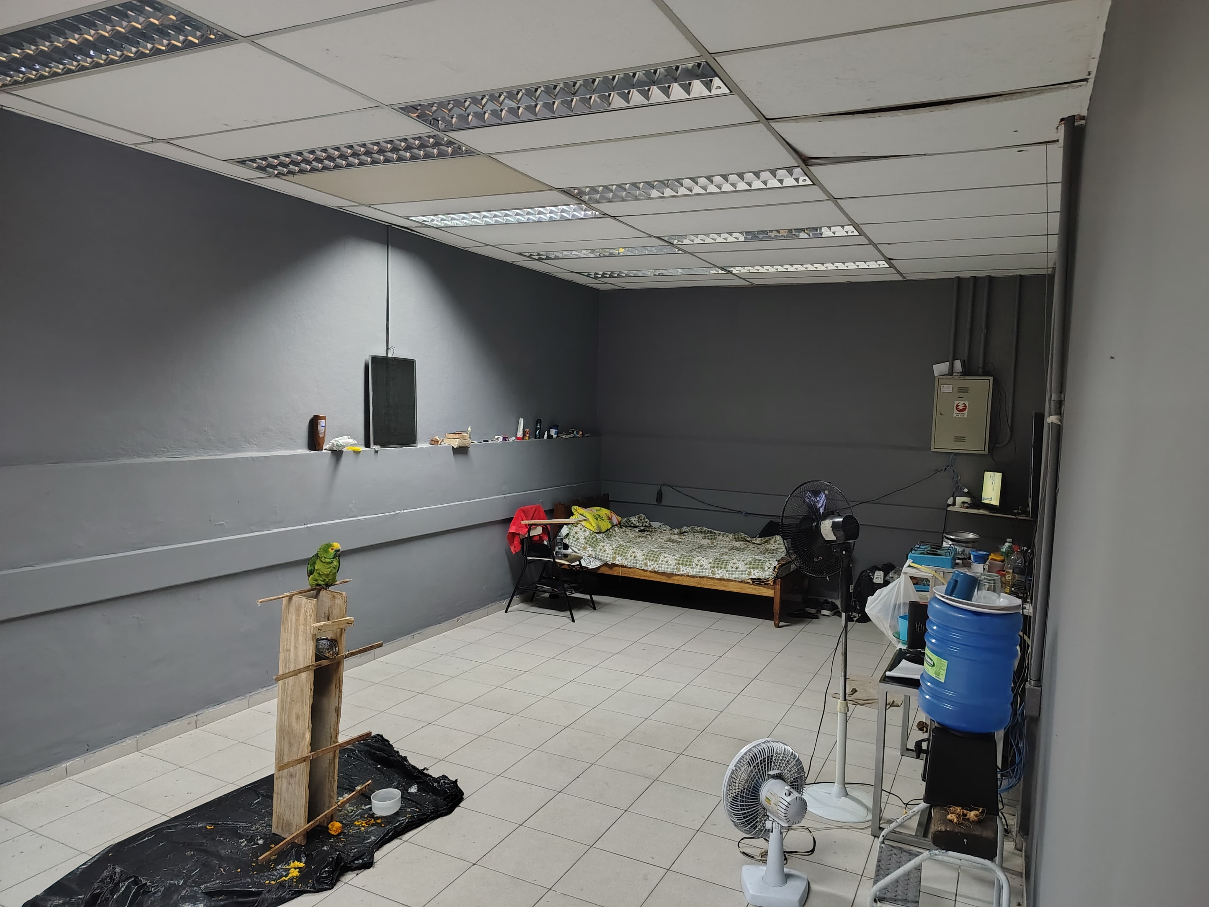 Galpão, 3000m² - Vila Caravela/SP - Foto 9